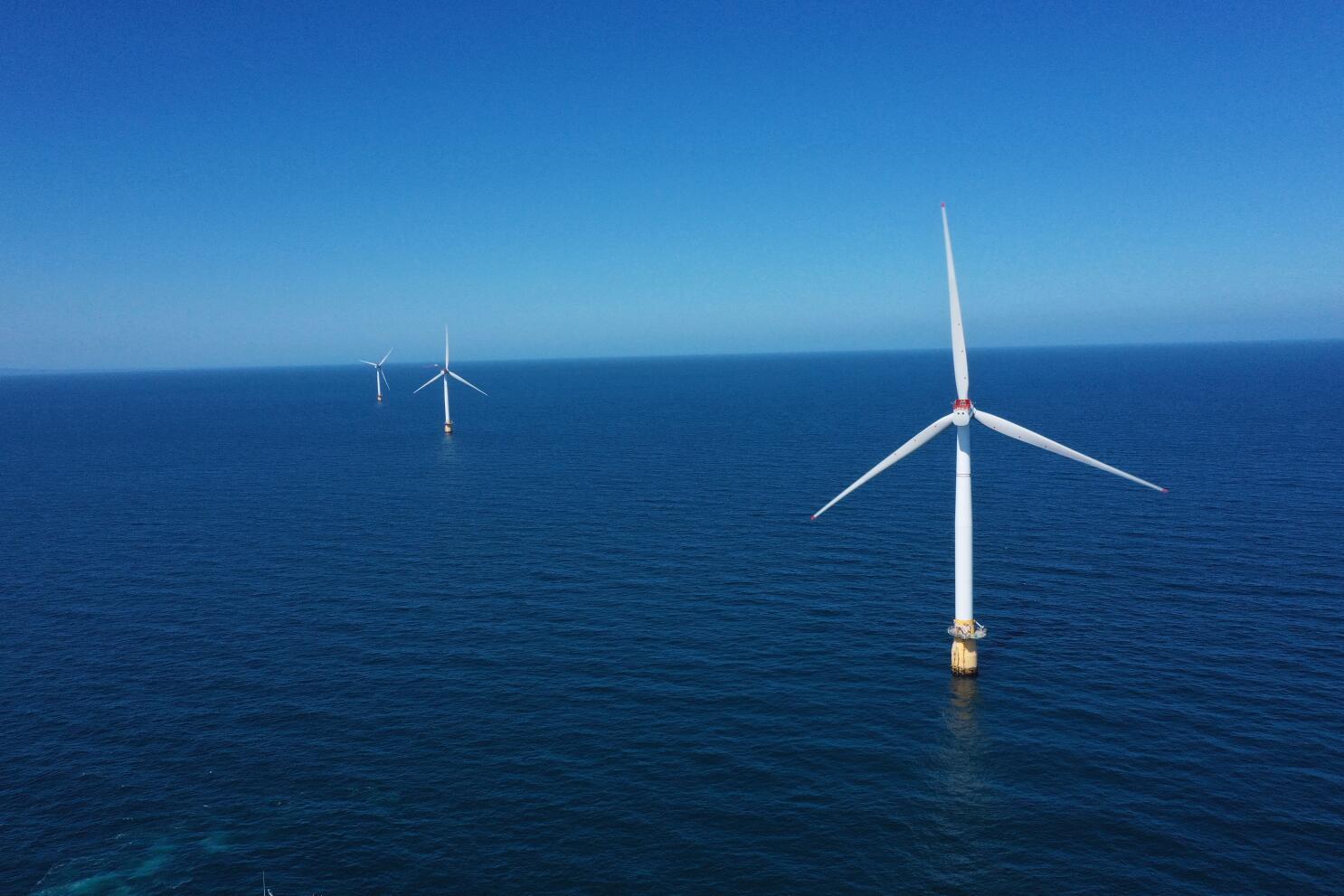 Nomad Energy активно поддерживает экологические инициативы и способствует сокращению углеродного следа